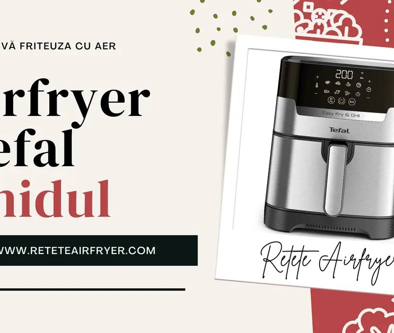 Airfryer Tefal: Ghidul complet pentru alegerea aparatului