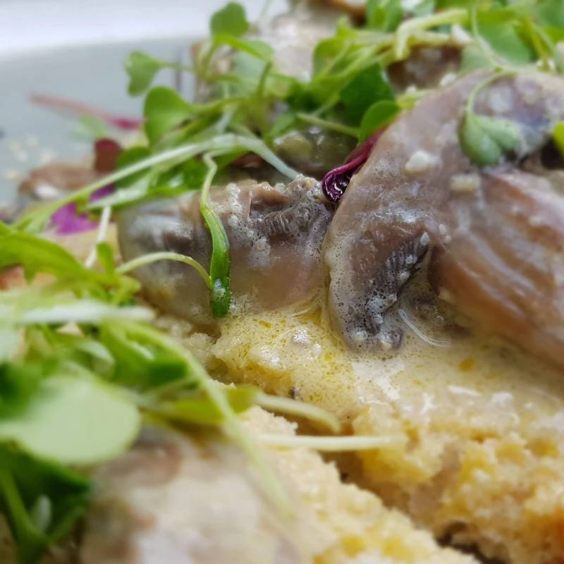 Ciulama de ciuperci cu mămăligă, cremoasă și aromată ca la mama acasă